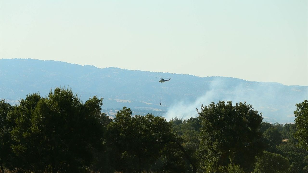 Uşak'ta Tarım Arazisinde Başlayan Yangın Ormana Sıçradı