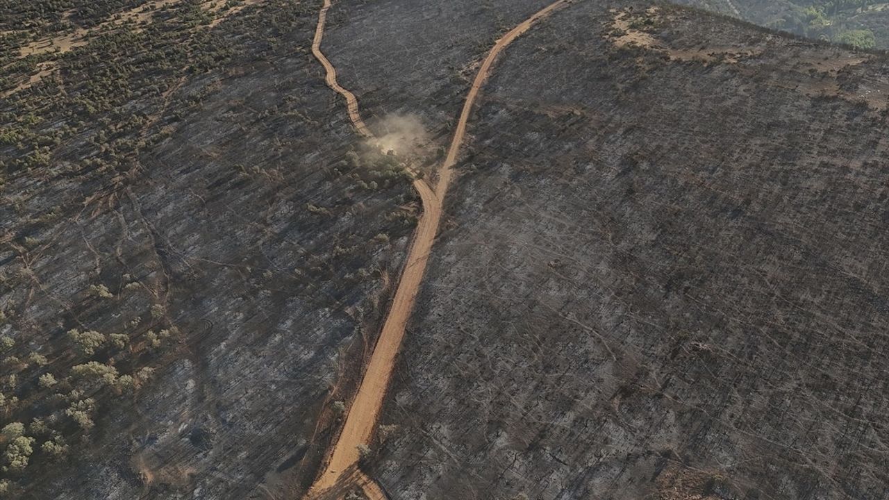 Uşak'taki Orman Yangını Kontrol Altına Alındı