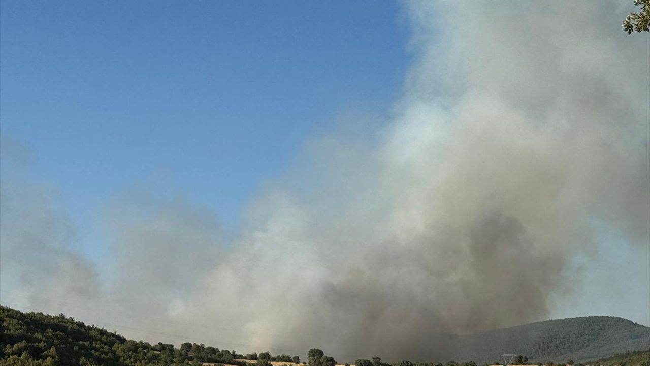 Uşak ve Manisa'daki Yangınlar Karadan Kontrol Altına Alınmaya Çalışılıyor