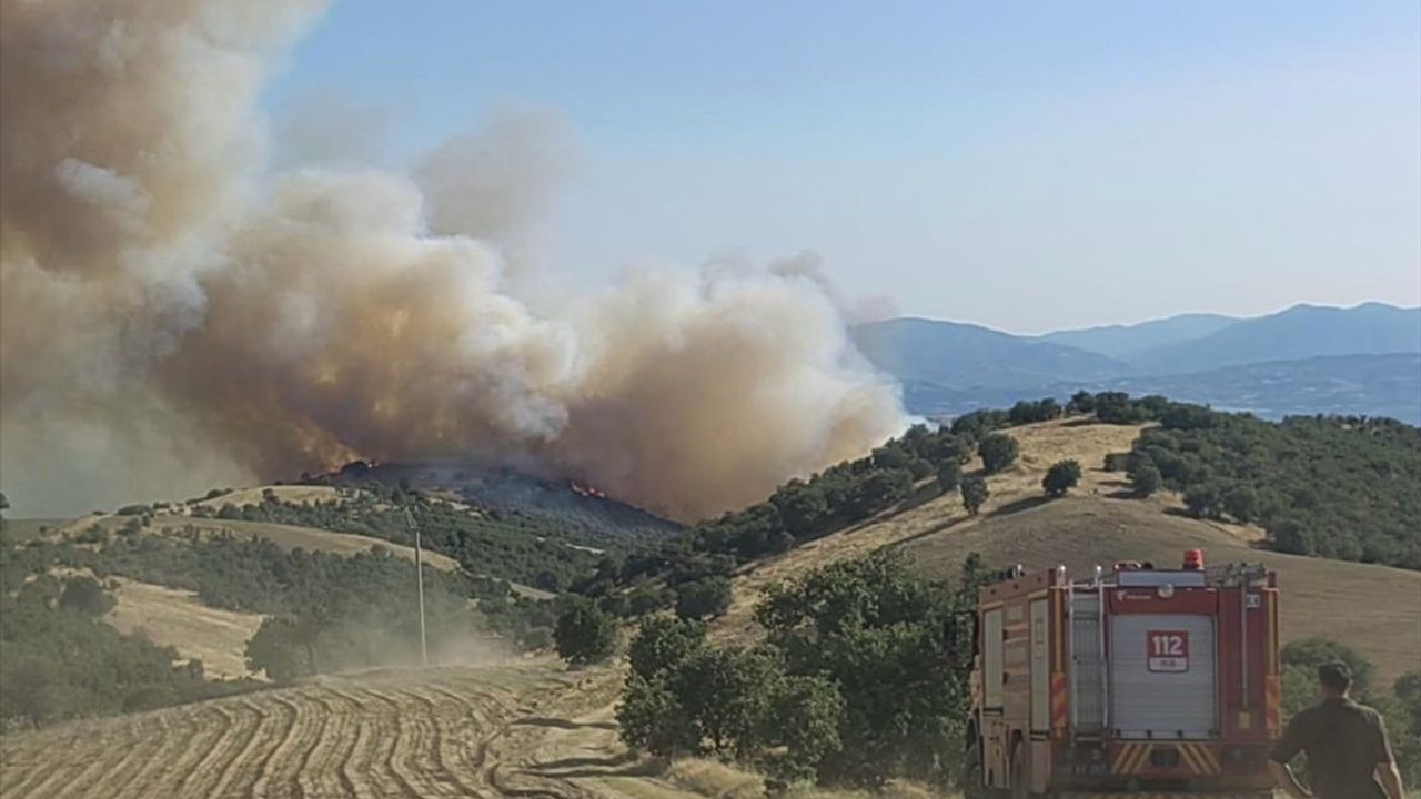 Uşak ve Manisa'daki Yangınlar Kontrol Altına Alındı