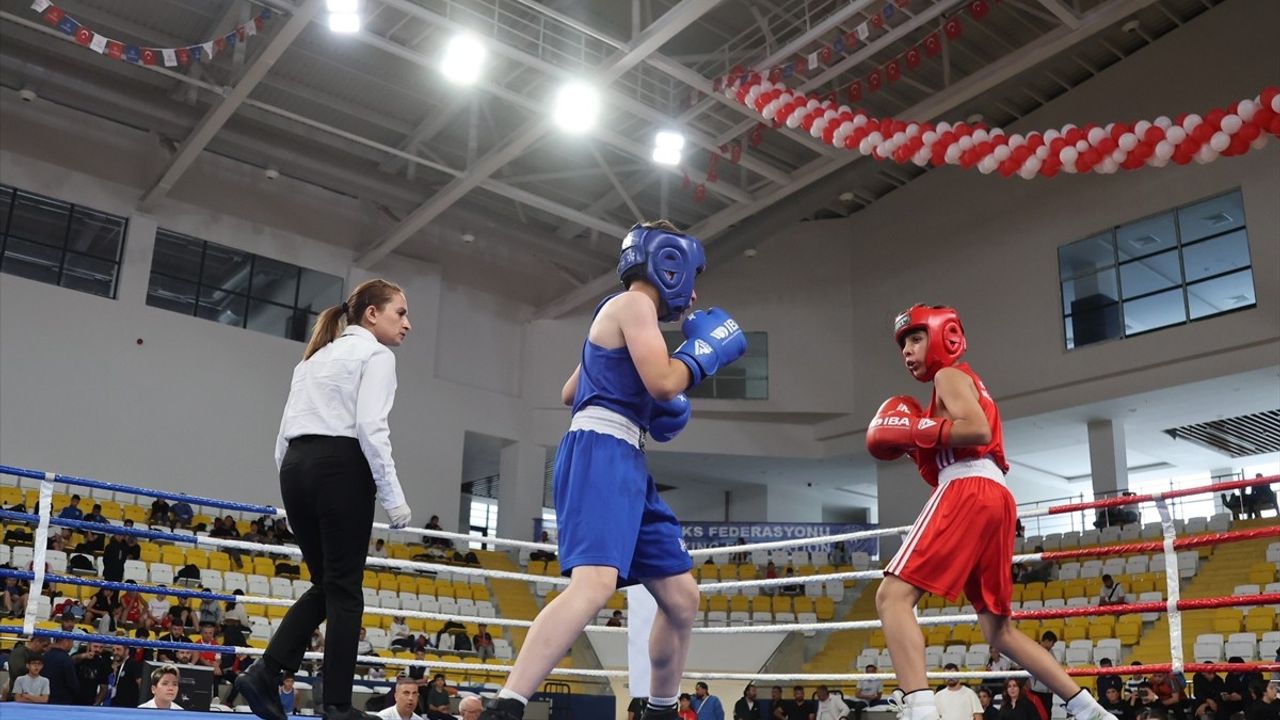 Üst Minik Erkekler ve Kadınlar Türkiye Ferdi Boks Şampiyonası Bayburt'ta Devam Ediyor
