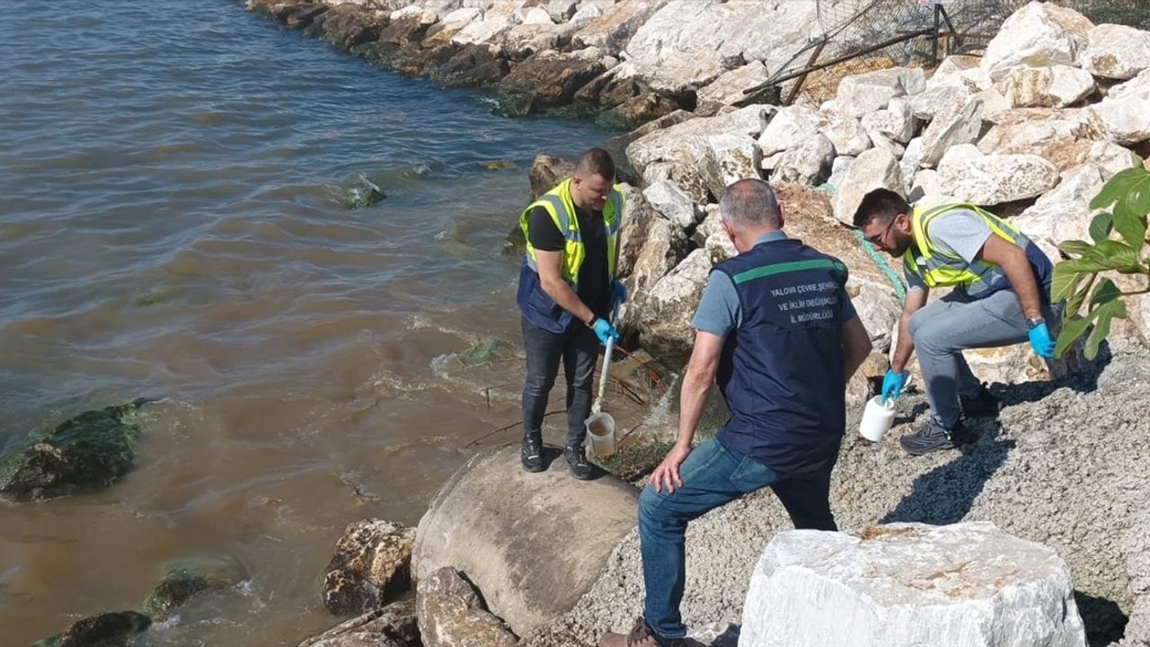 Yalova Belediyesine Çevre Kirliliğinden 1,3 Milyon Lira Ceza Kesildi