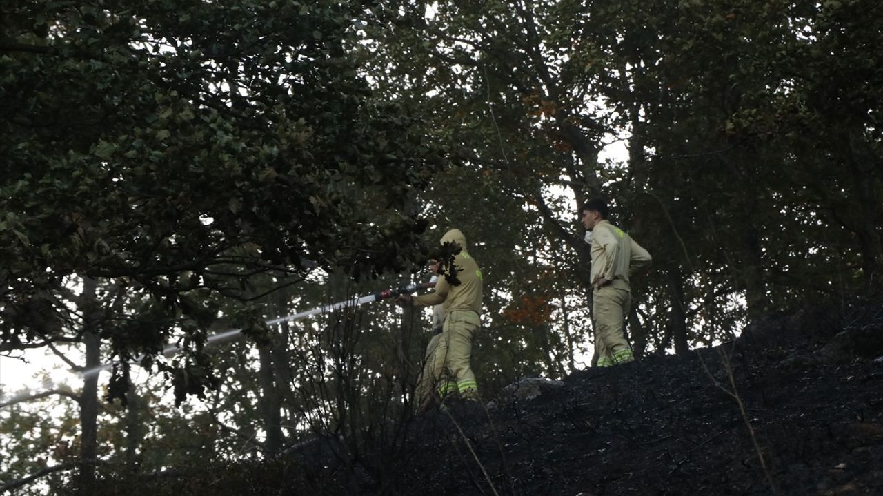 Yalova-Bursa Sınırındaki Orman Yangını Kontrol Altına Alındı