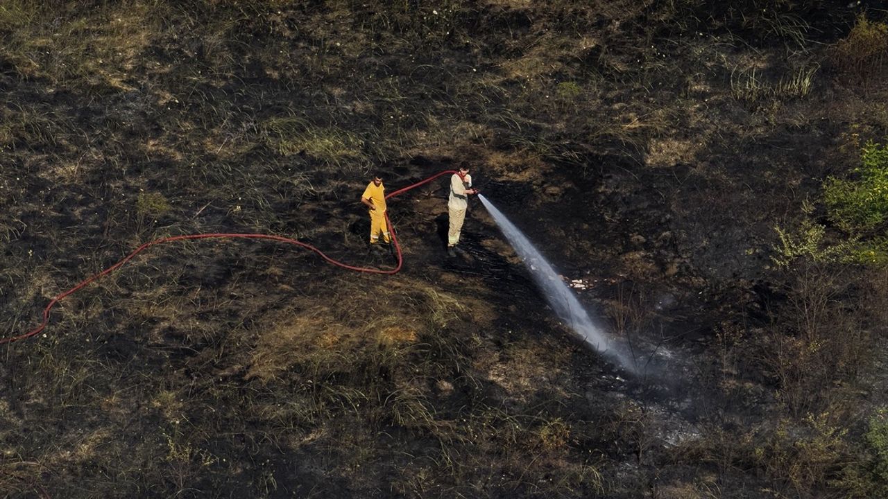 Yalova'nın Çiftlikköy ilçesinde arazi yangını kontrol altına alındı