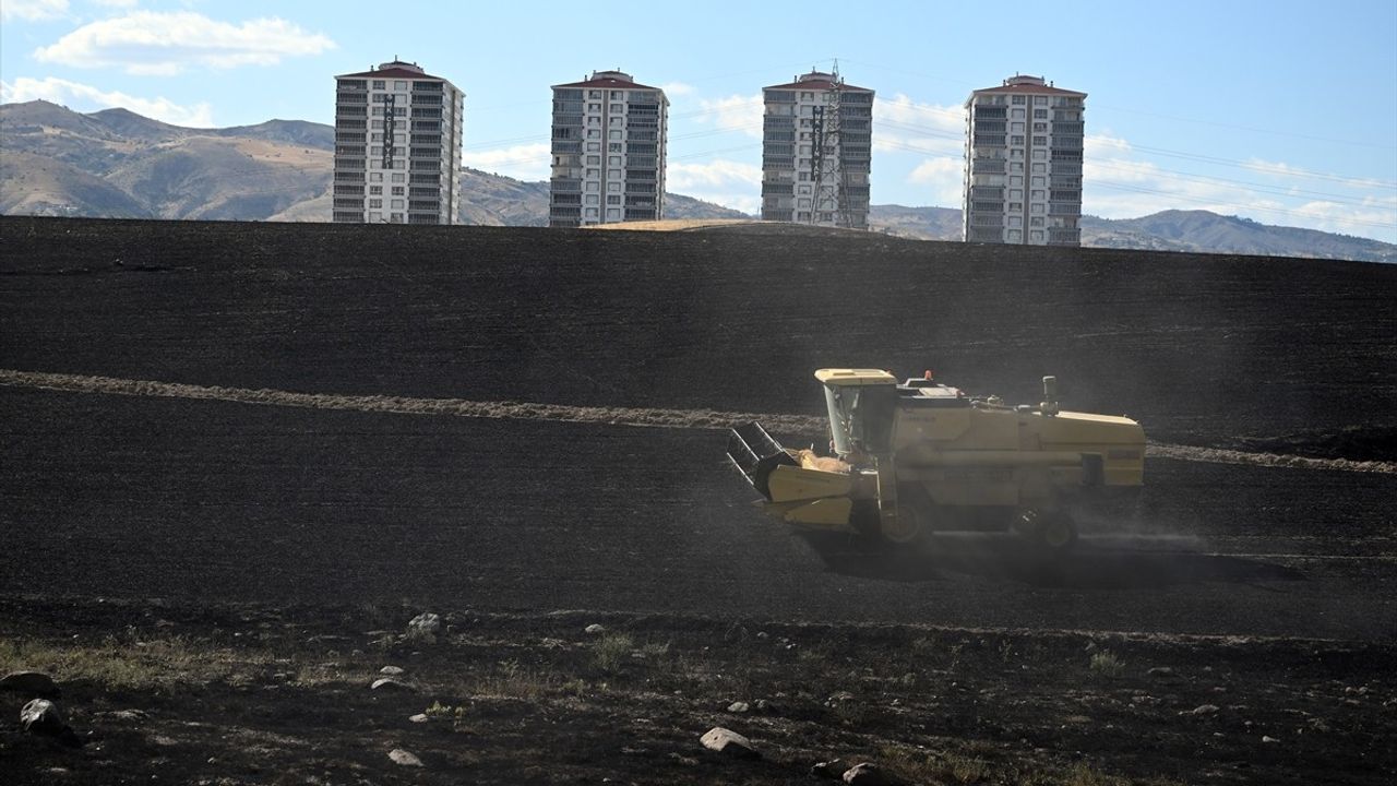 Yenimahalle'de Ekili Arazide Yangın Kontrol Altına Alındı