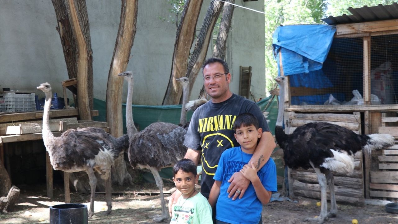 Yozgat'ta Kafe İşletmecisi Güner Öztürk'ten Hayvan Severlere Küçük Bir Çiftlik