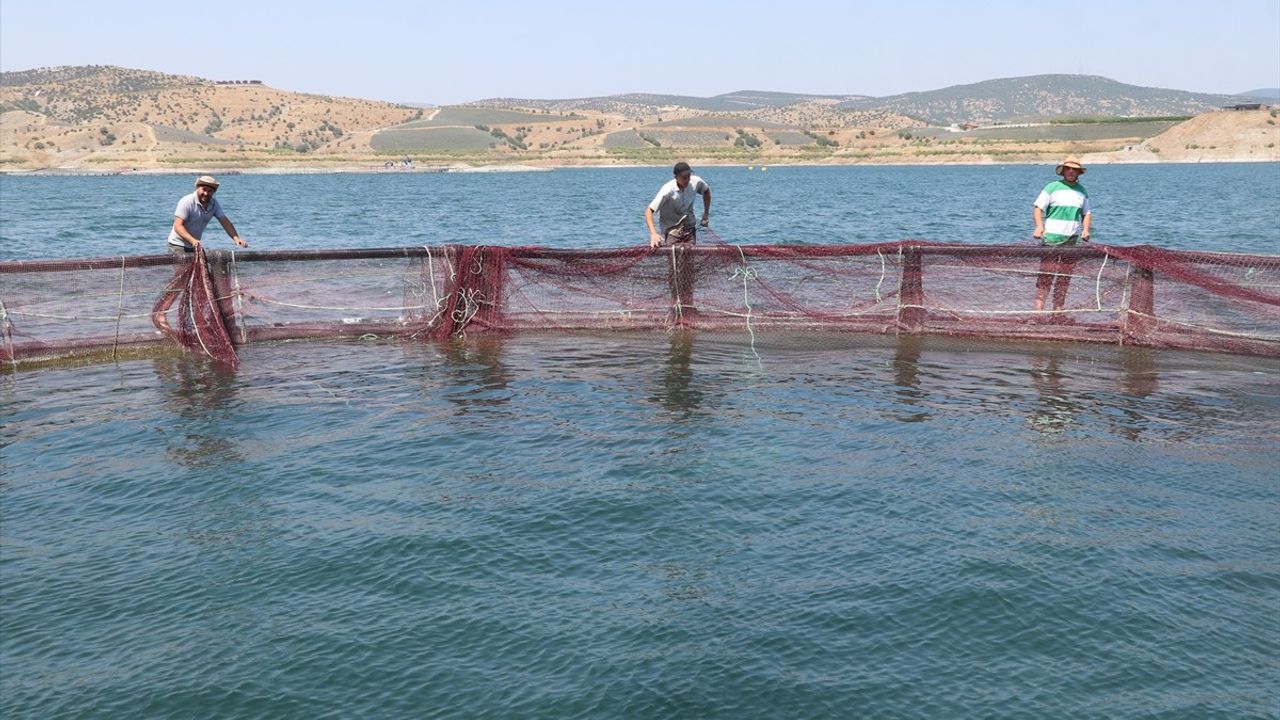Yozgat'ta Üretilen Türk Somonu ve Alabalıklar İhraç Ediliyor