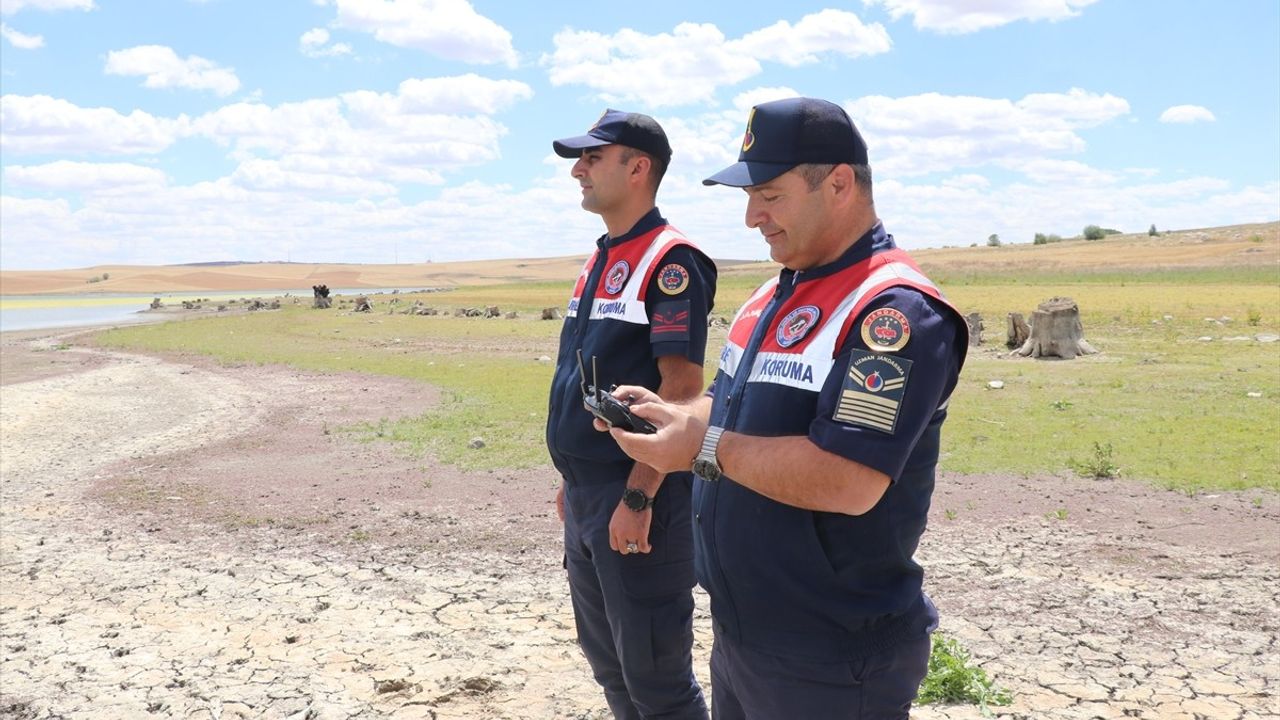 Yozgat'taki Flamingolar Jandarma Ekipleri Tarafından Korunuyor