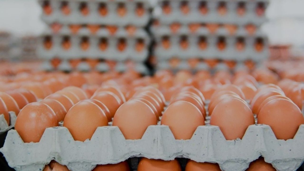 Yumurta fiyatlarında gece depremi! İhracatta kriz bitti ya fiyatlar...