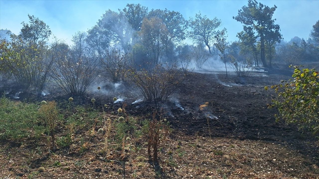 Zonguldak'taki Yangın Kontrol Altına Alındı