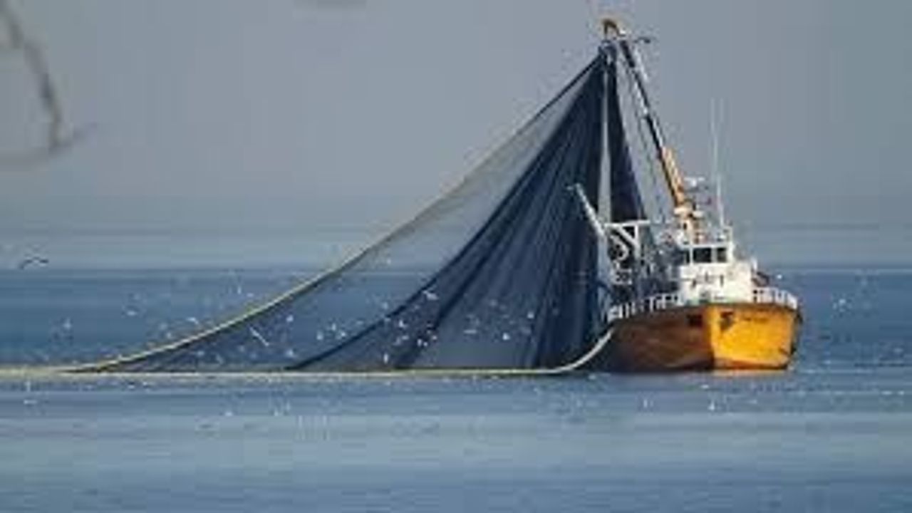 1 Eylül'de tüm yasaklar kalkıyor! Herşey tamam: Milyonlar bu günü bekliyor 