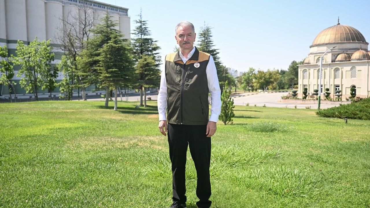 2023 Fındık Rekoltesi 453 Bin Ton Olarak Bekleniyor