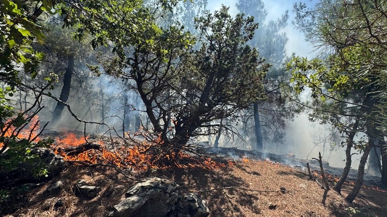 Adana Feke'de orman yangını: Güzpınarı Mahallesi'nde havadan ve karadan müdahale sürüyor