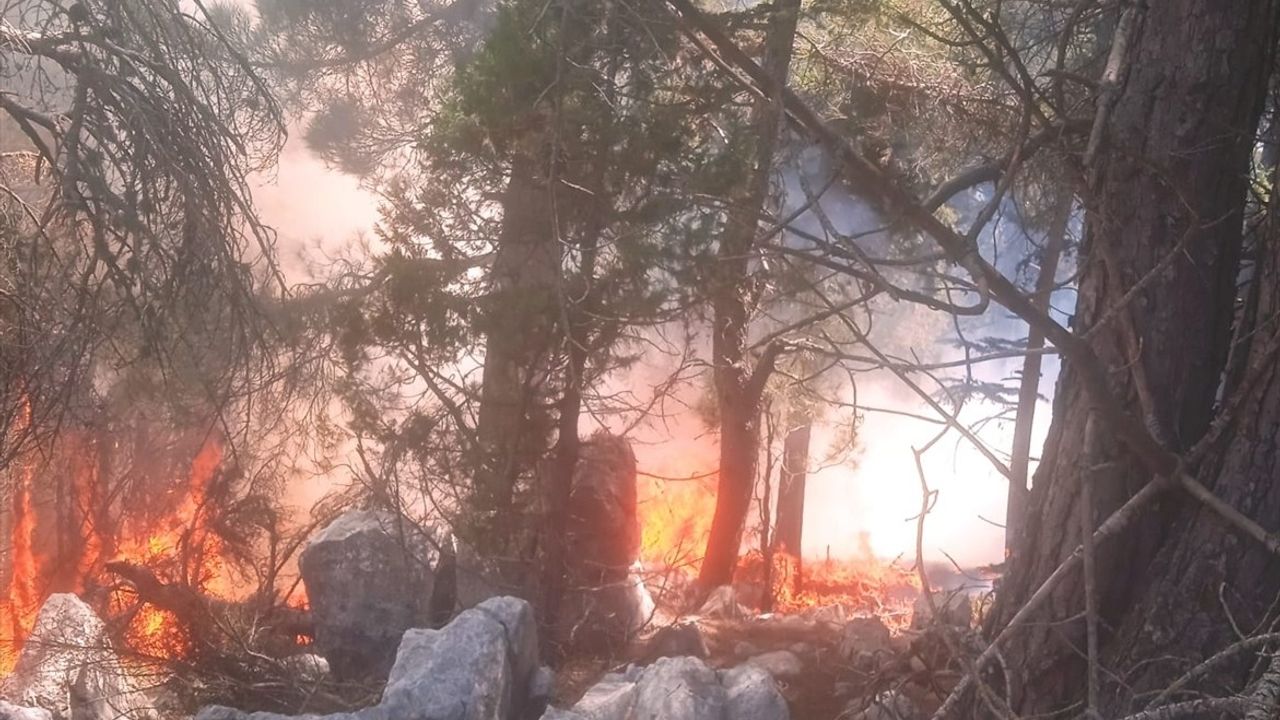 Adana'nın Aladağ ilçesindeki orman yangını kontrol altına alındı