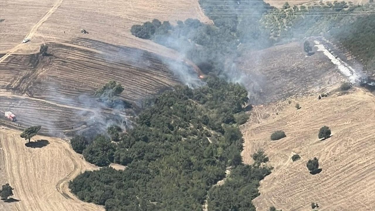 Adana'nın Kozan ilçesinde Vezirağalar'daki orman yangını kontrol altına alındı