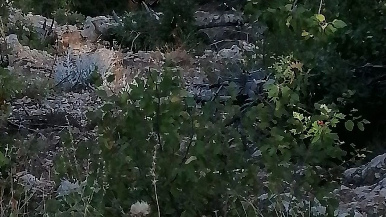 Adana Saimbeyli'de uçuruma yuvarlanan otomobilde 2 kişi yaşamını yitirdi