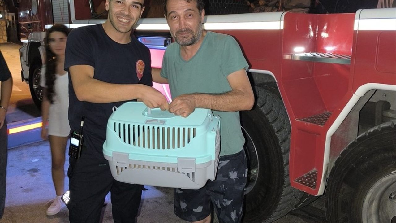 Adana Sarıçam'da balkon demirlerine sıkışan kedi itfaiye tarafından kurtarıldı