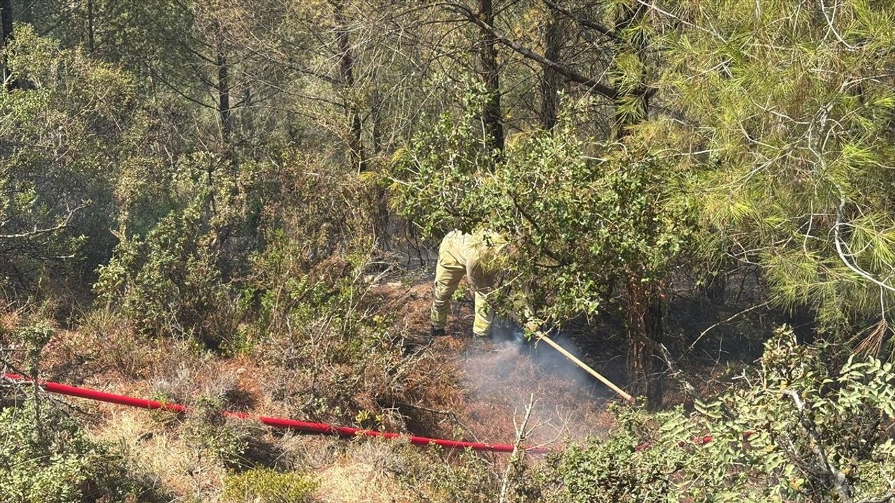 Adana Sarıçam'da orman yangını ekiplerin müdahalesiyle kontrol altına alındı