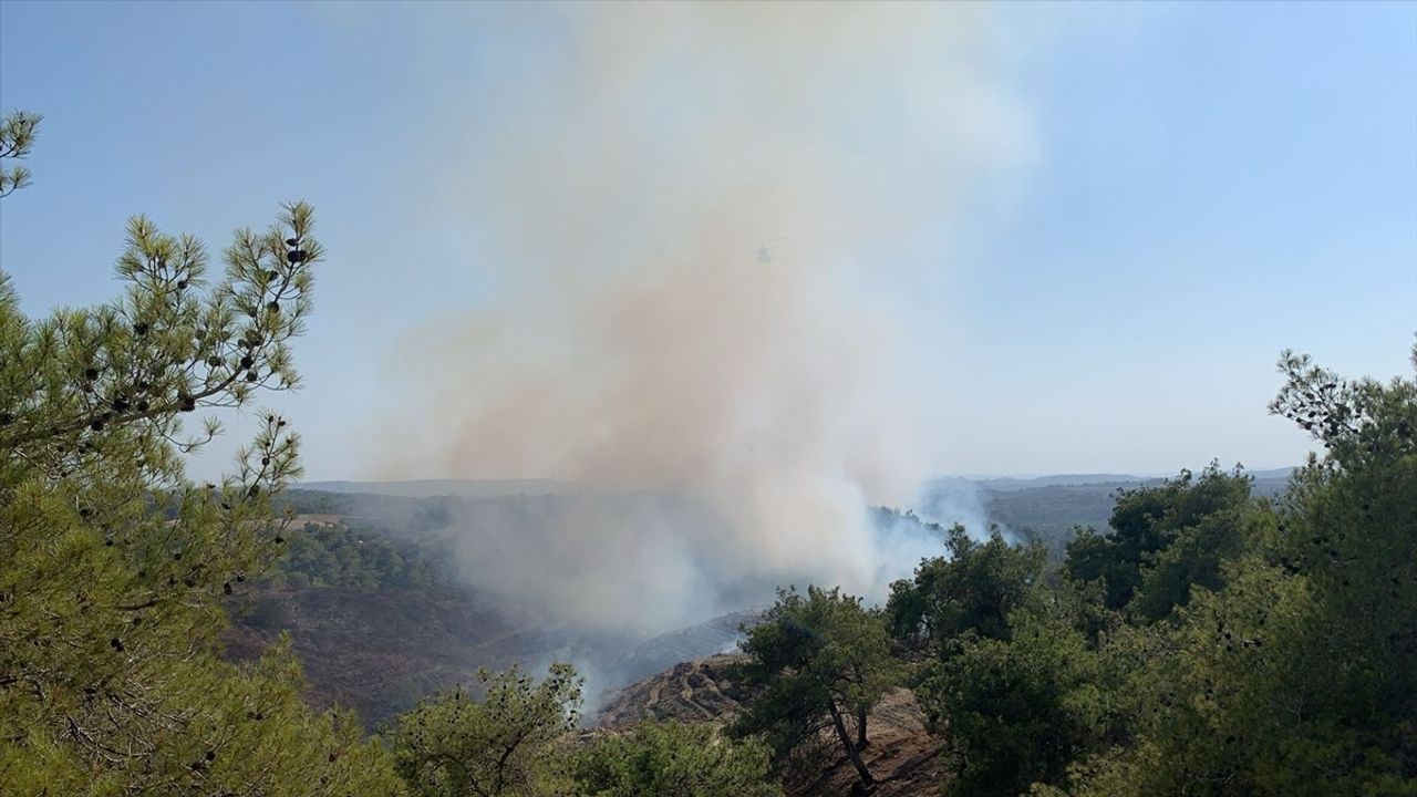 Adana Sarıçam'da orman yangını: Turunçlu Mahallesi'nde havadan ve karadan müdahale sürüyor