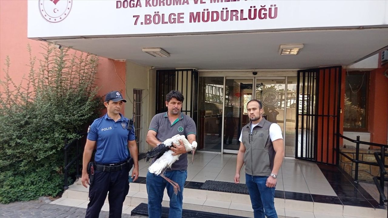 Adana Yüreğir'de Yaralı Leylek Tedavi Altına Alındı