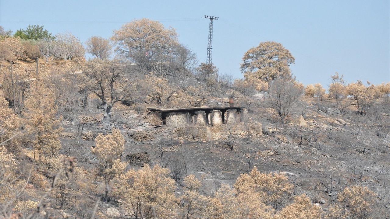 AFAD Başkanı Pehlivan: Silifke'de "Genel Hayata Etkili Afet Bölgesi" ilanına uygun şartlar oluştu