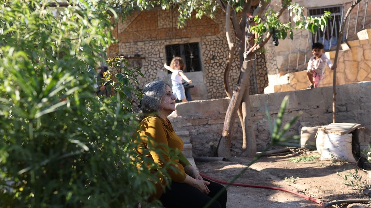 Afrinli aileler yıllar sonra evlerine dönüyor: 60 bini aşkın kişi geri döndü