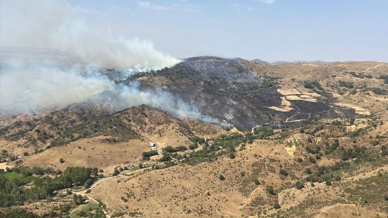 Afyonkarahisar'ın Sinanpaşa ilçesinde Tınaztepe'de çıkan örtü yangını söndürüldü