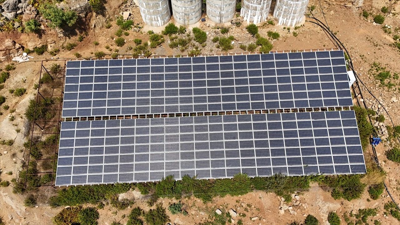 Alanya'da kurulan GES, tropikal meyve bahçesinin enerji maliyetlerini düşürdü