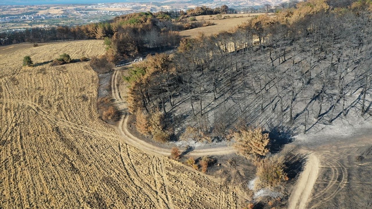 Anızın toprağa karıştırılması orman yangınlarını yavaşlatıyor; ÇOMÜ'lü Prof. Dr. Harun Baytekin'in gözlemleri