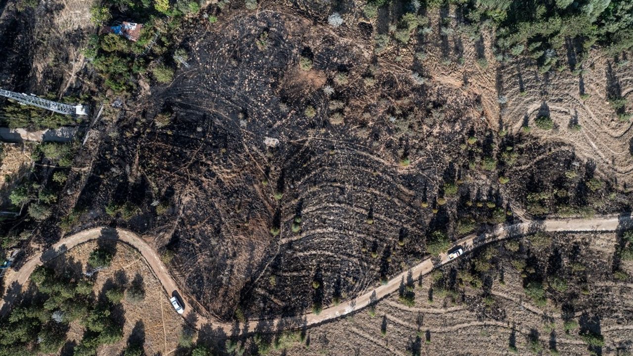 Ankara Çankaya'da Çalılık Alanda Yangın Kontrol Altına Alındı