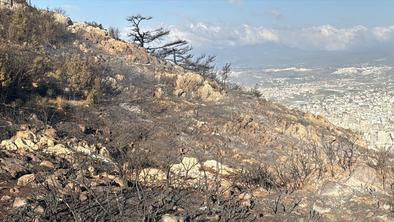 Antakya'daki Habib-i Neccar Dağı eteklerindeki orman yangını kontrol altına alındı