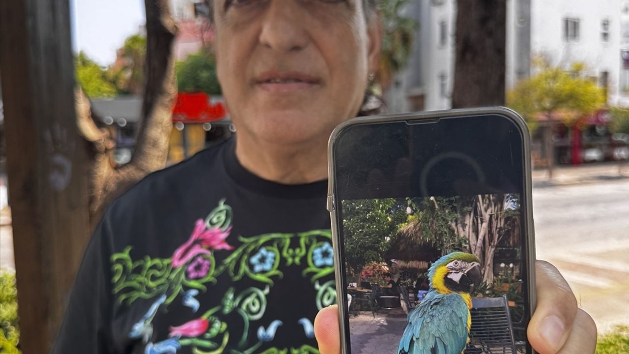 Antalya'da 28 yıllık papağan 'Cabbar' için polis soruşturması