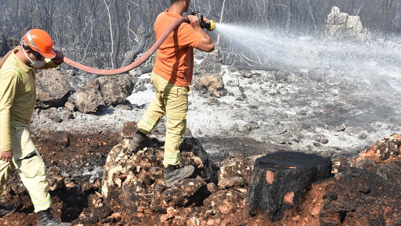 Antalya Kepez'de orman yakınındaki yangın kontrol altına alındı
