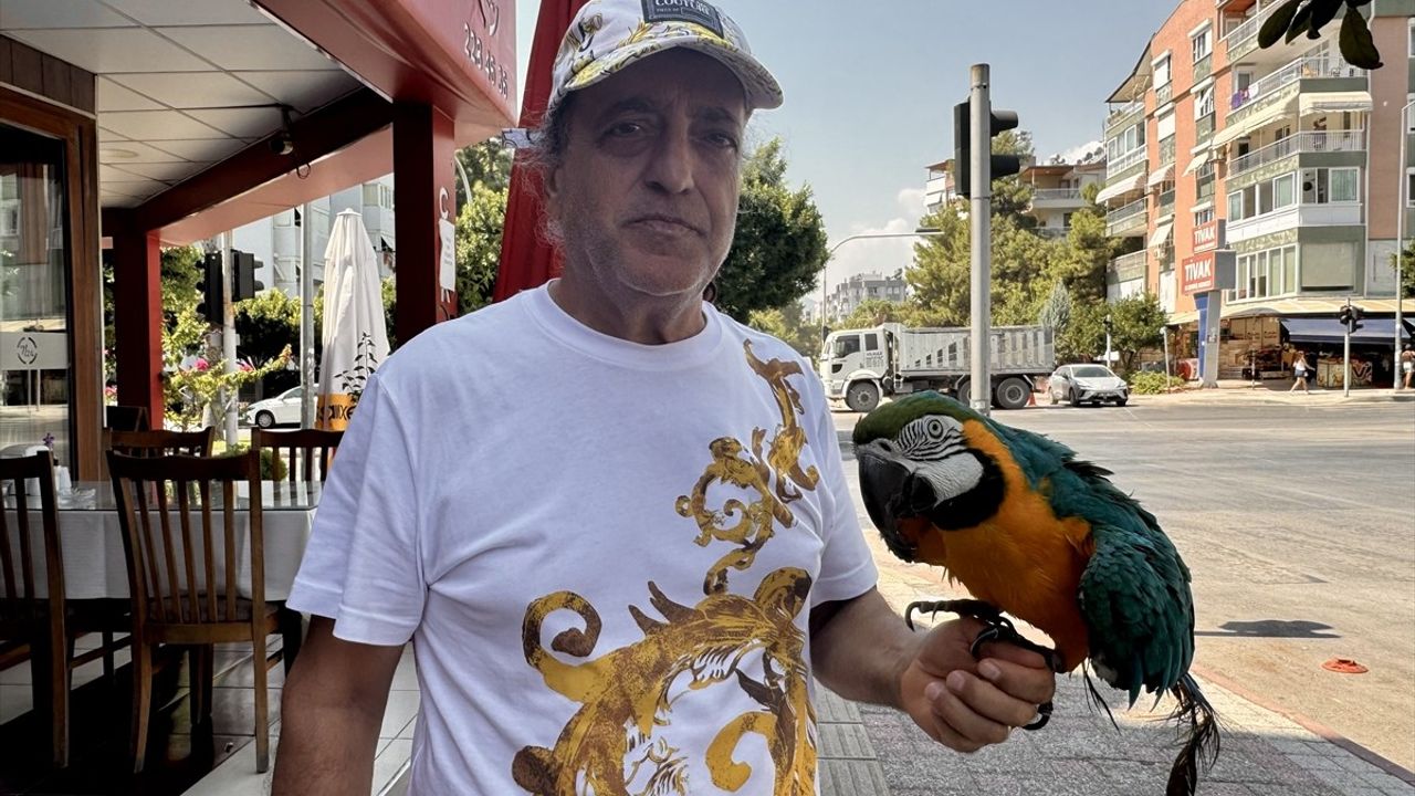 Antalya Konyaaltı'nda 28 yıldır bakılan papağan Cabbar bulundu