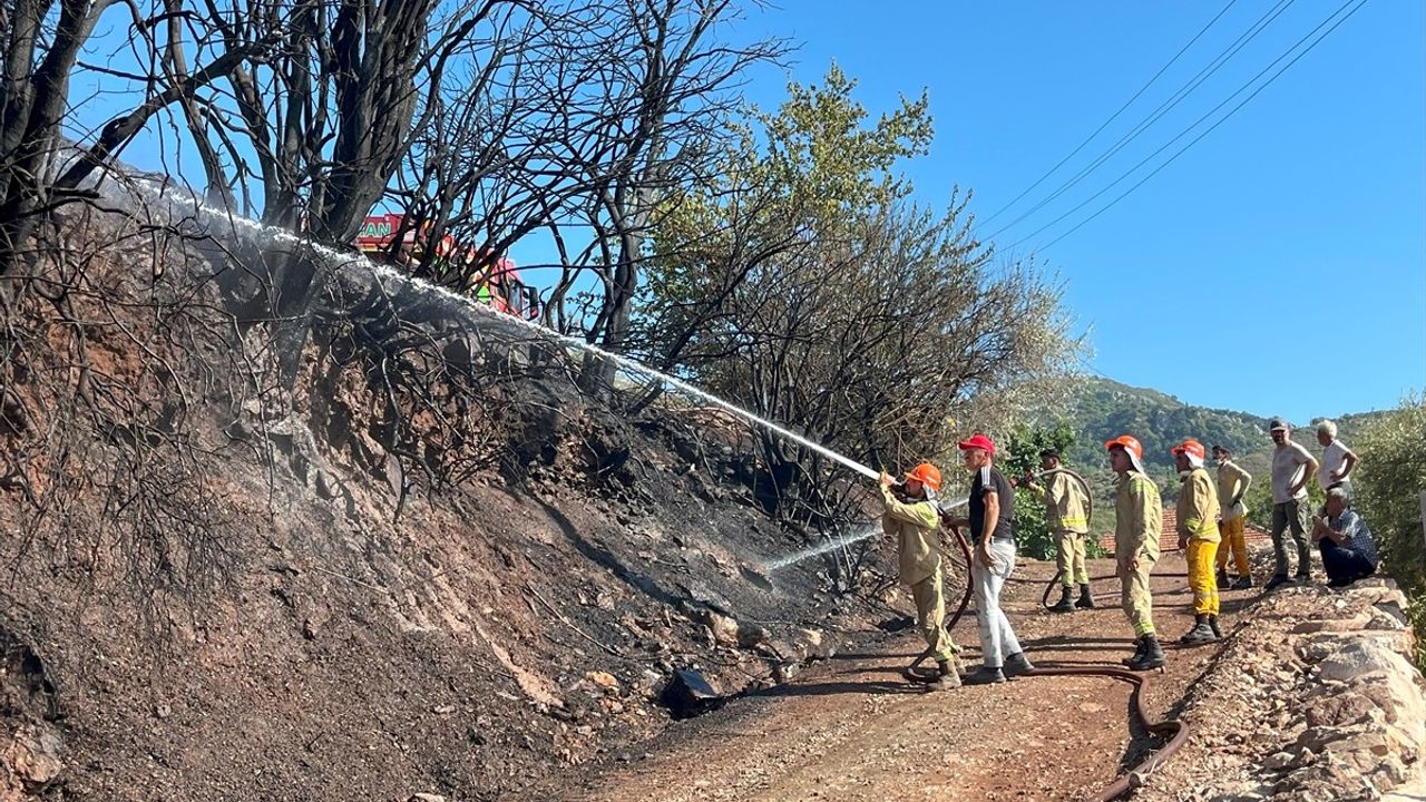 Antalya Kumluca'da Orman Yangını Kontrol Altına Alındı