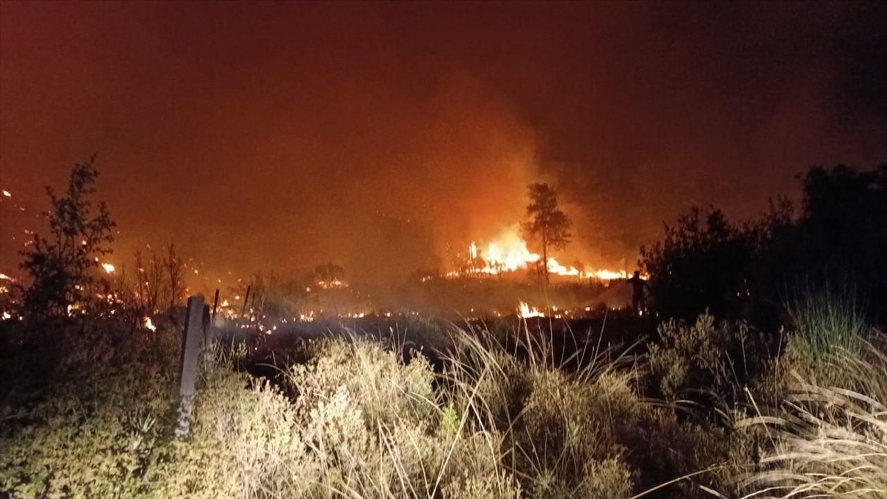 Antalya Serik'te Tarım Arazisinden Ormana Sıçrayan Yangın Kontrol Altına Alındı