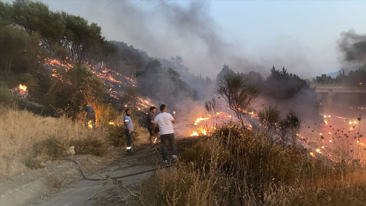 Aydın'da otoyoldaki kamyonda çıkan yangın ağaçlık alana sıçradı, söndürüldü