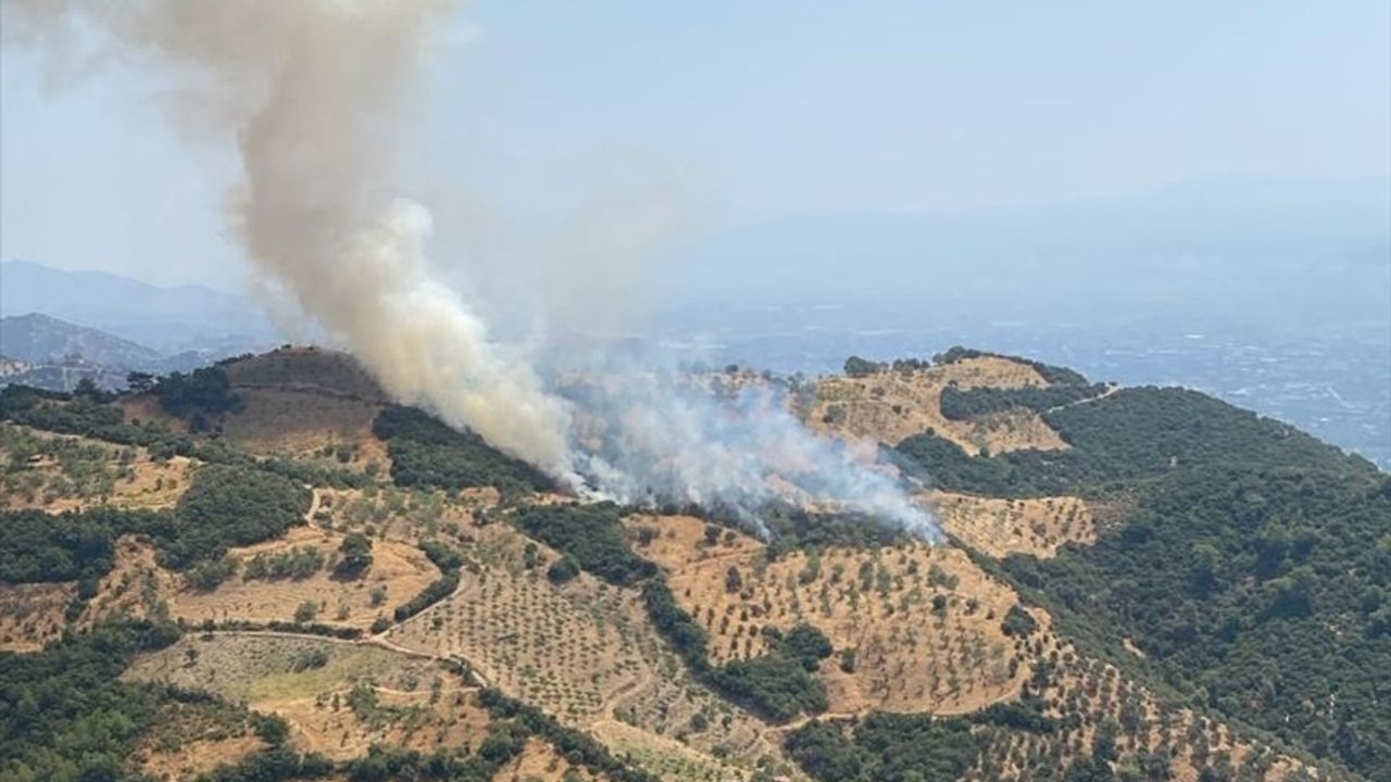 Aydın'da Tarım Arazisi Yangınına Sebep Olan Gelin Gözaltına Alındı