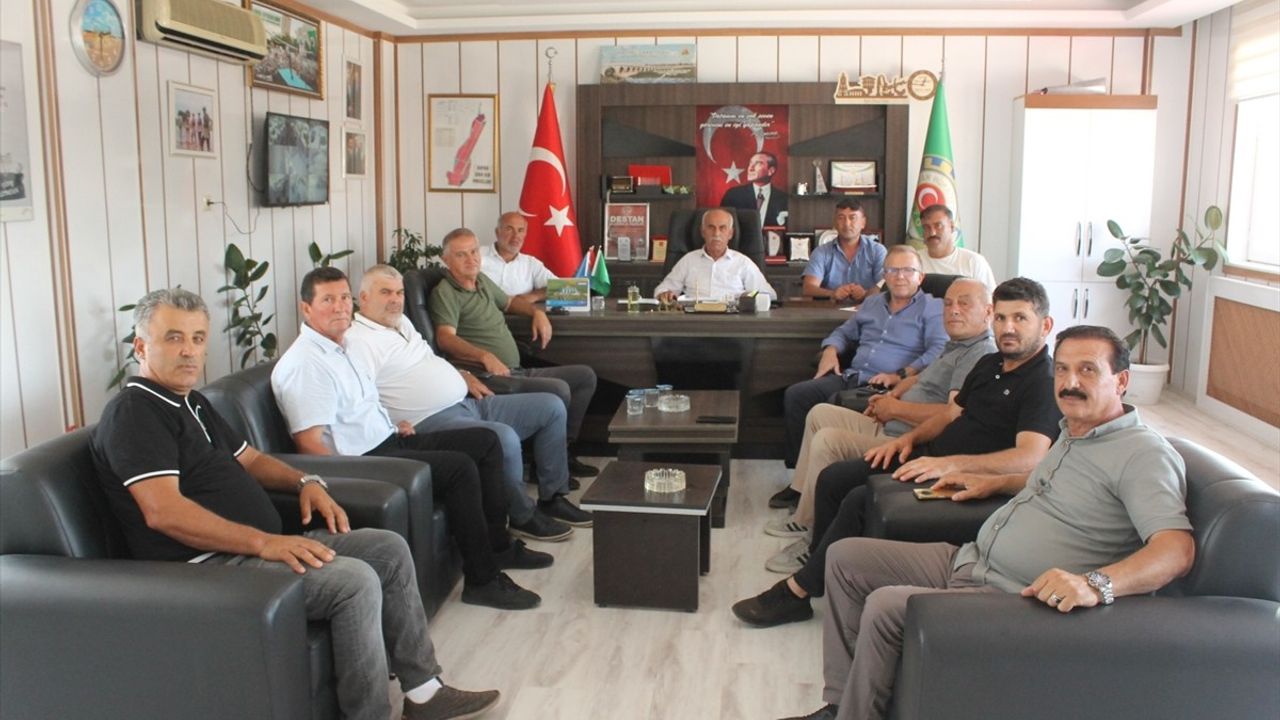 Bafra Ovası'nda 2025 çeltik hasadı yüksek sıcaklar nedeniyle 15-20 gün gecikecek