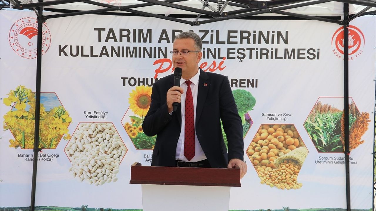 Bafra Ovası'nda 347.904 sebze fidesi üreticilere dağıtıldı