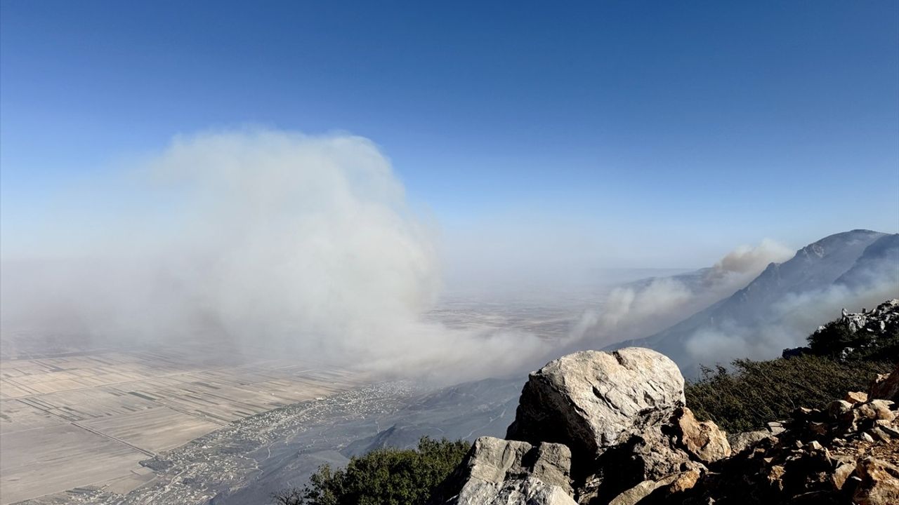 Bakan Raid Salih: Hama ve Lazkiye'de yangın söndürme çalışmalarına yoğunlaşılıyor