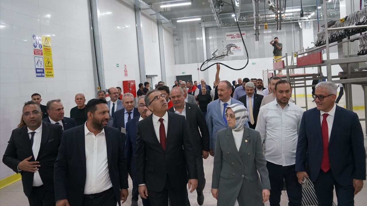 Bakan Yardımcısı Gümen: Üç Yıllık Hayvancılık Destekleme Modeli Planlı Üretimi Güçlendiriyor