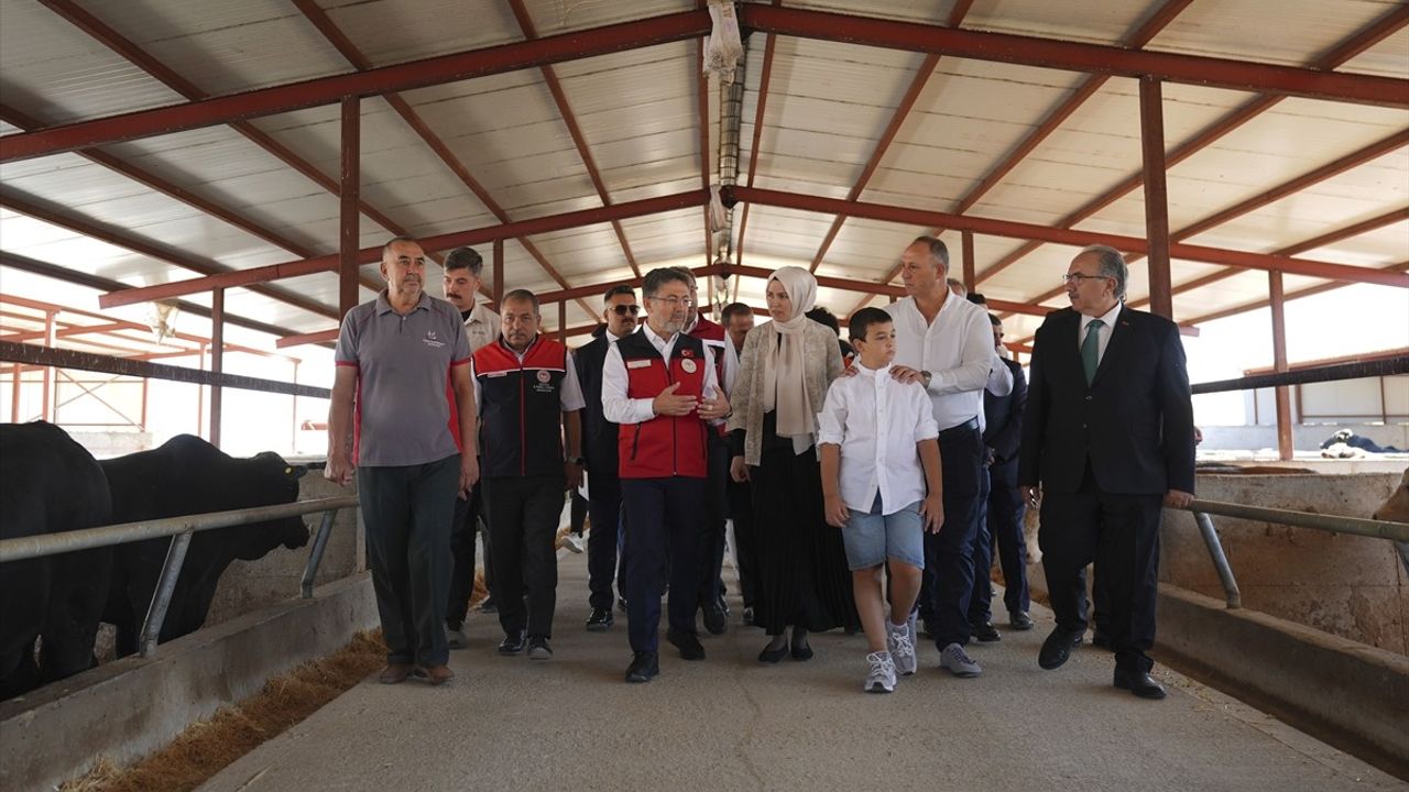 Bakan Yumaklı açıkladı: 'Güçlü Besi Güçlü Üretim Projesi' ile 2026'da 200 bin etçi ırk hedefi