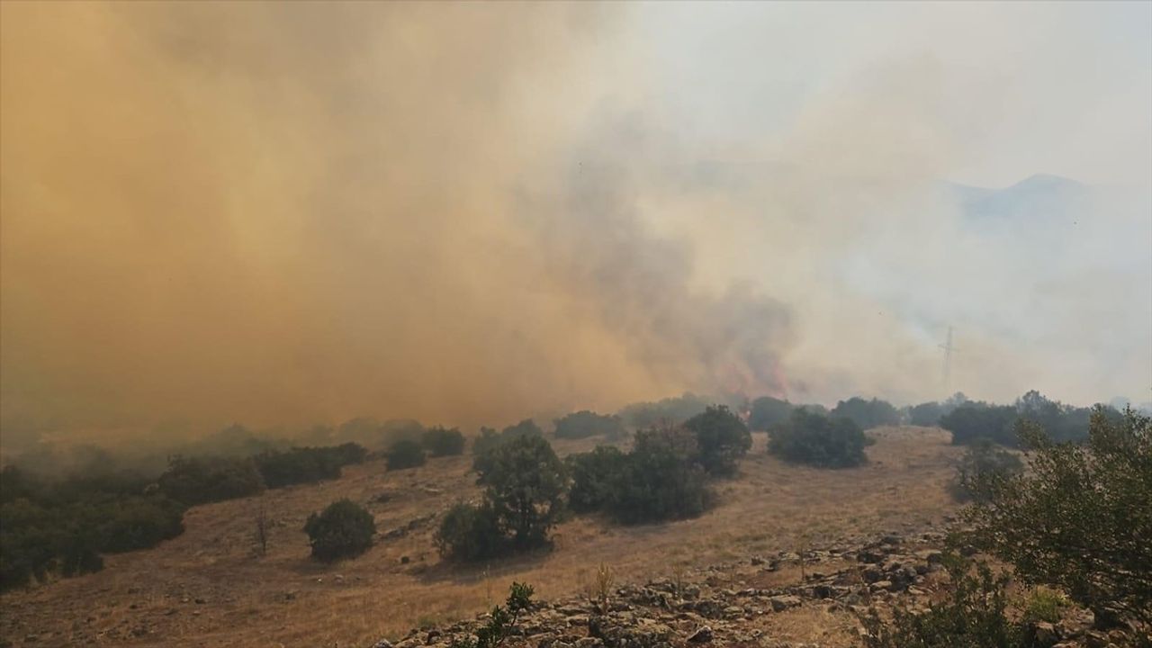 Balıkesir Kepsut'ta orman yangını havadan ve karadan müdahaleyle kontrol altına alındı