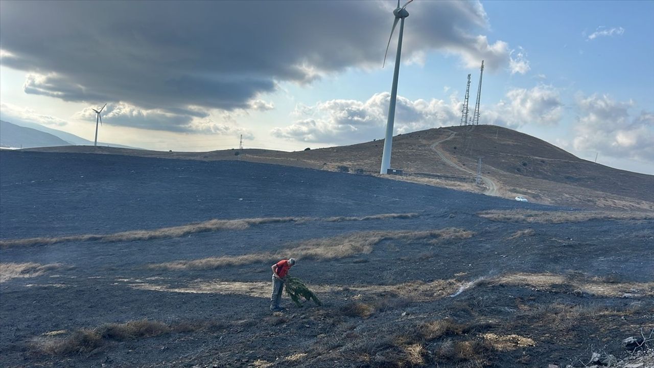 Balıkesir Paşalimanı Adası'ndaki Arazi Yangını Kontrol Altına Alındı