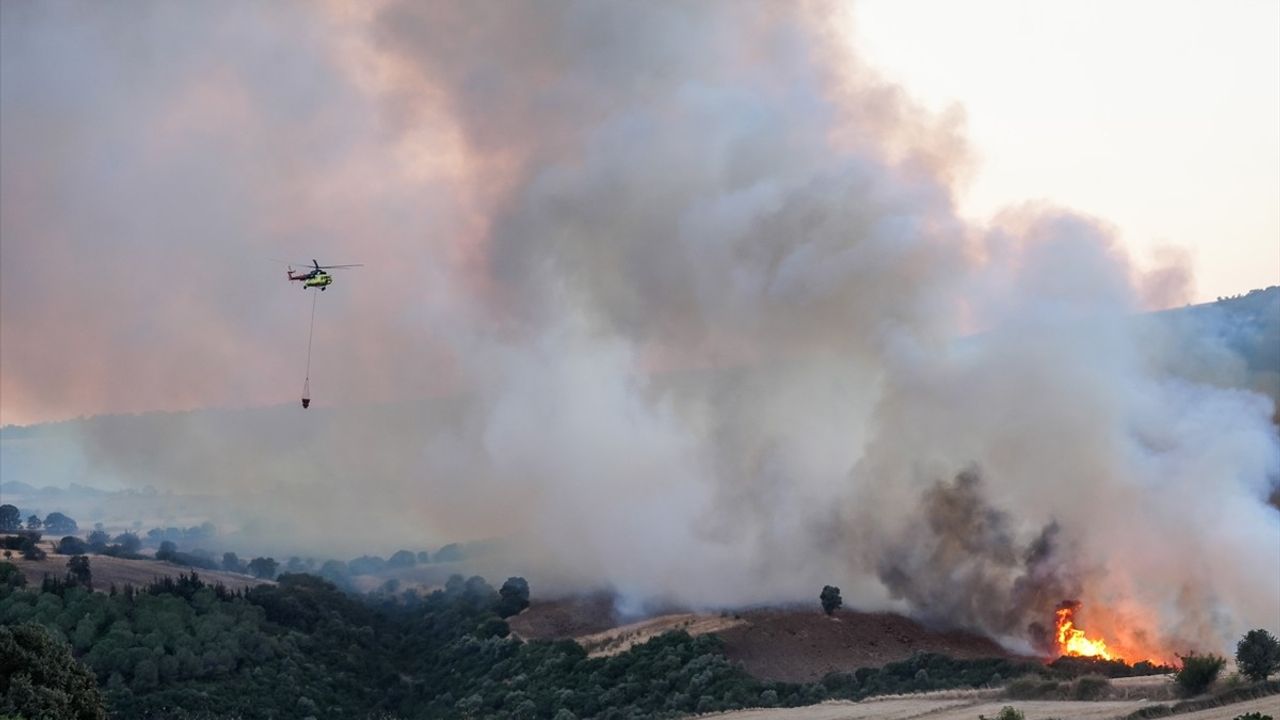 Balıkesir Susurluk'ta orman yangını kontrol altına alındı
