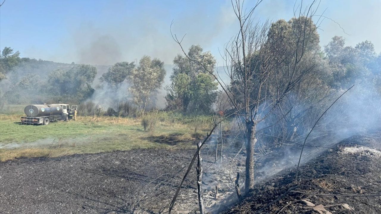 Bartın'da anız yangını ağaçlık alana sıçradı; 1 ev zarar gördü, 6 ev tahliye edildi