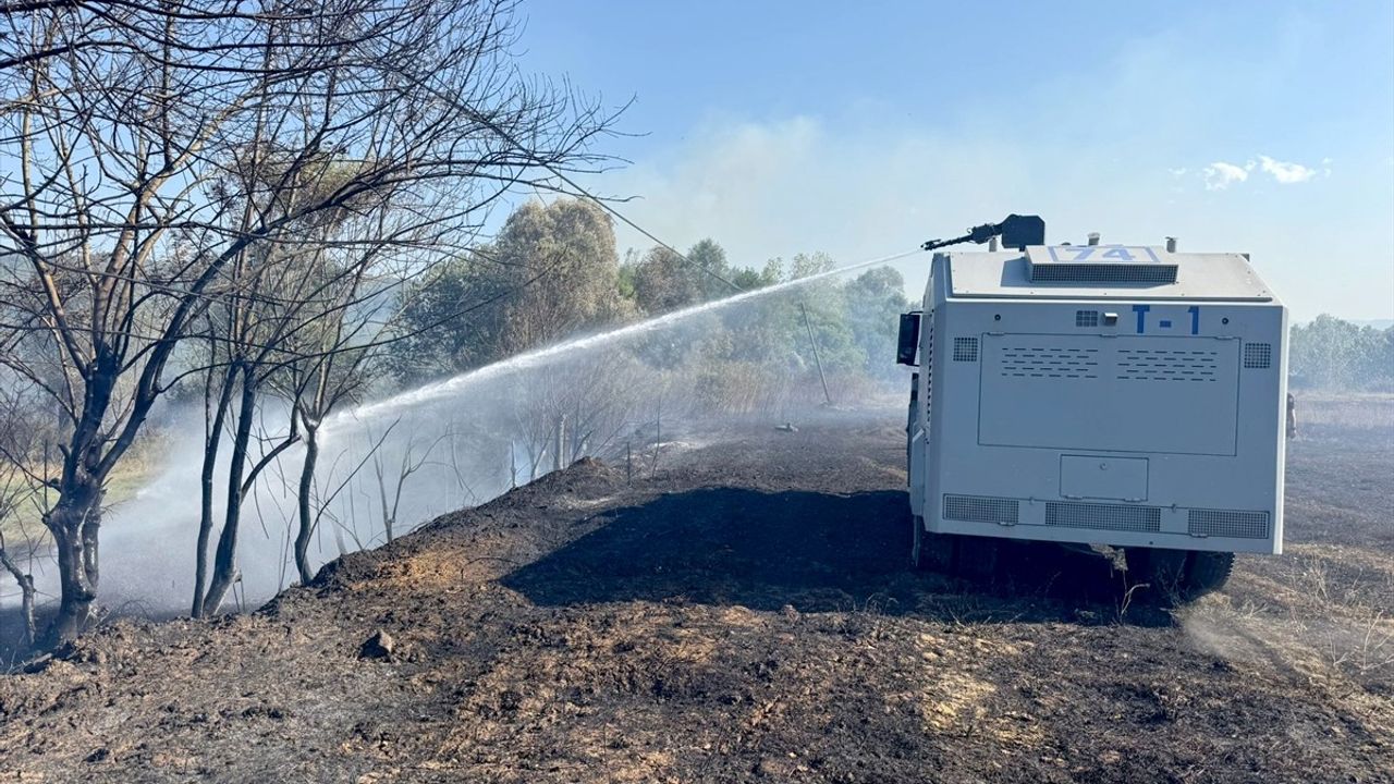 Bartın'da anız yangını ağaçlık alana sıçradı; yangın kontrol altına alındı