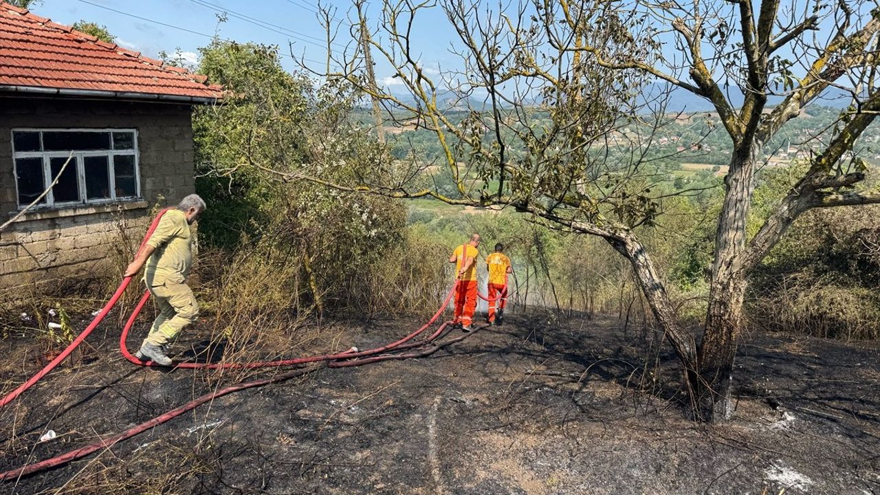 Bartın'da Anız Yangını Kontrol Altına Alındı
