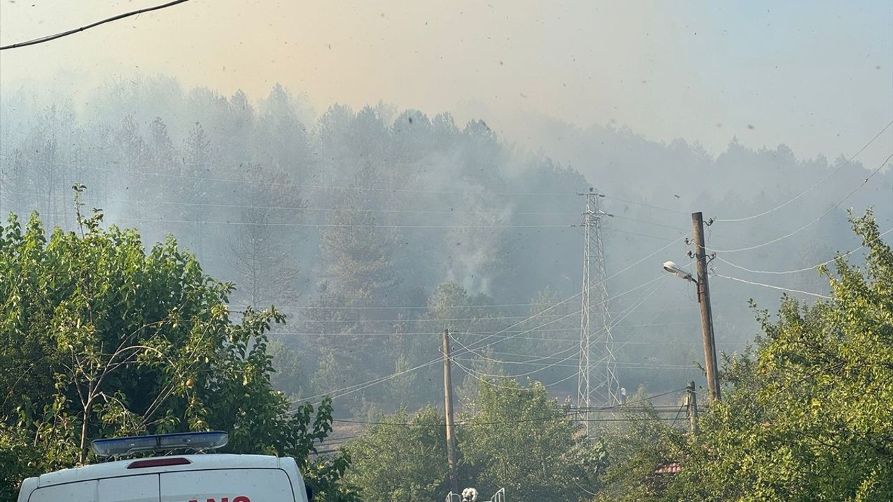 Bartın'da Orman Yangınına Hızla Müdahale Ediliyor